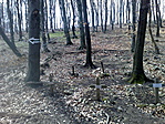 2010.03.20-i állapot