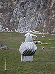 Harmonika