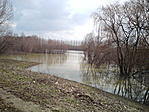 Víz