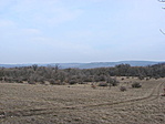 Panoráma
