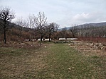 A romok