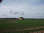 A zöldellő búzamező közepén