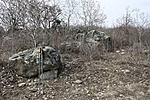 a botokhoz jelzett, a bokorban volt