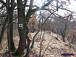 A zöld négyzeten