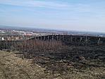 A környék tűz után