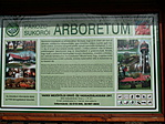 Alborétum