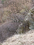 2010