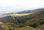 2009