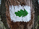 A levél tanösvényen