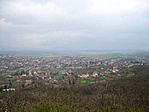 Buják