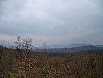 Sasfészek