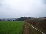 Dagonya