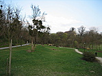 Szép park