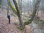 A rejtek