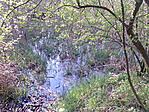 A láp