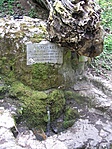 Forrás