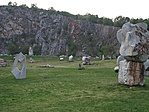 A park