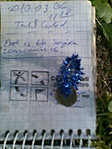 Log
