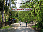 Így fogadtak!