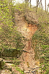 lesikló