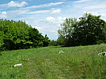 A hegytetőn kilátástalan