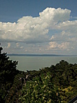 Balaton