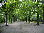 Erzsébet-park