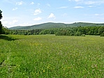A rét
