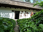 Kertből