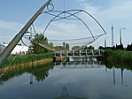 Kiskőrösi horgász