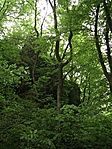 Völgyben
