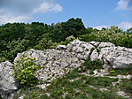 kilátóhely