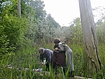 Munkában