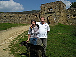 A társaim