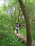Pallósoron