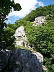 Csaf fölfelé