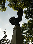 madár
