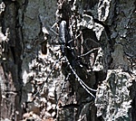 ;-) fejjel lefelé csinálják...