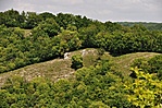dimbes-