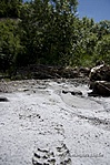 sónyomok