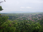 Pára