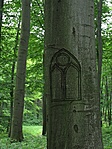 wood window