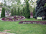 Virágóra