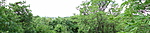 Panoráma nyáron