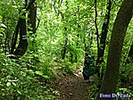 A felvezető út
