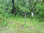 ott lapul valahol