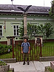 közeli turulmadár