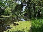 A békalencsés csatorna