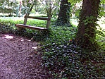 Pad a parkban