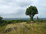 Kilátás